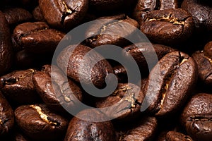 Roasted Coffee Beans