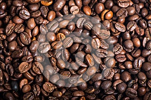 Roasted coffee beans