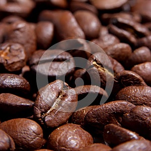 Roasted coffee beans