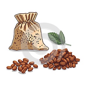 Roasted coffee beans around a burlap sack. Sackcloth bag with coffee beans and coffee leaves on white background