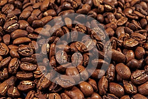 Roasted coffee beans background. Pacamara - sort of arabica