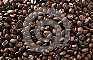 Roasted coffee beans