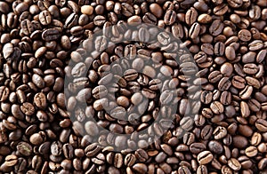 Roasted coffee beans