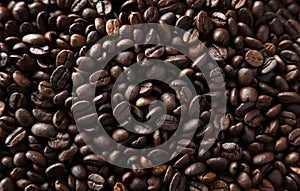 Roasted coffee beans