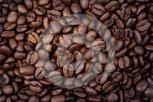 Roasted coffee beans