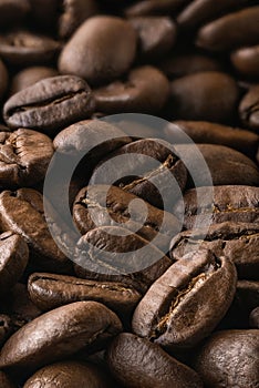 Roasted coffee beans in close-up