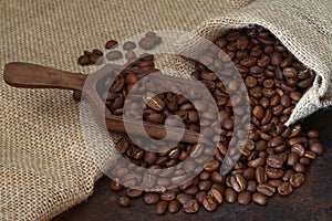 Roasted coffee beans close-up in wooden scoop on background burlap sack, selective focus