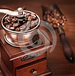 Roasted coffee beans in a coffee grinder.