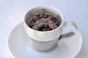 Roasted Coffee Beans in an Expresso cup with beans in side