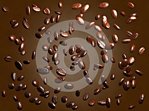 Roasted coffee beans falling down