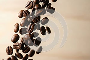 Roasted coffee beans falling on light background
