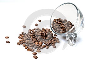 Roasted coffee beans in a glass cup