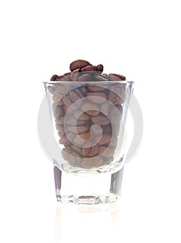 Roasted coffee beans in glass on white background.