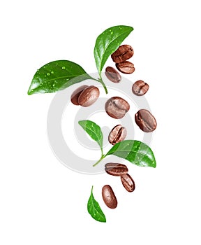 Roasted coffee beans with green leaves in the air isolated on a white background