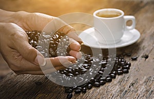 Roasted coffee beans on hand on wooden floors