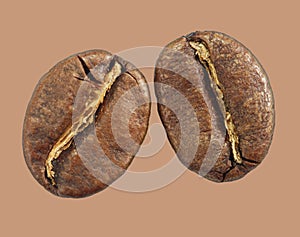 Roasted coffee beans isolated closeup