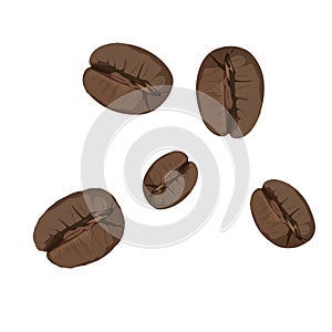 Roasted coffee beans isolated on white background. Vector