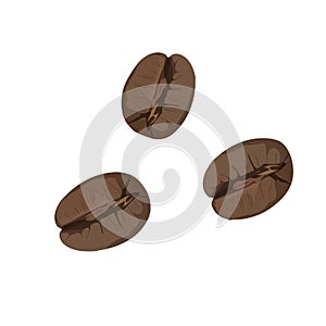 Roasted coffee beans isolated on white background. Vector