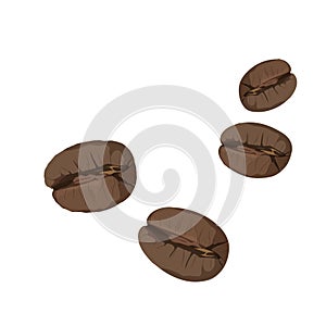 Roasted coffee beans isolated on white background. Vector