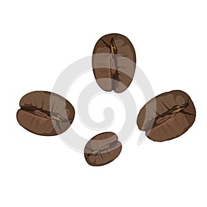 Roasted coffee beans isolated on white background. Vector