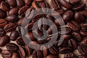 Roasted coffee beans like a background for wallpaper or decor