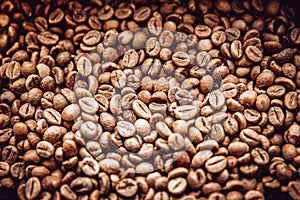 roasted coffee beans. ready for making high quality drinks. like espresso, latte or cappuccino