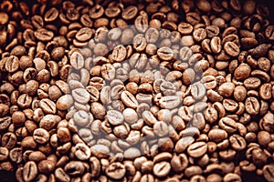 roasted coffee beans. ready for making high quality drinks. like espresso, latte or cappuccino