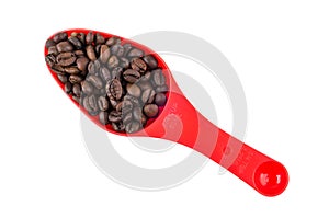 Roasted coffee beans in red plastic spoon isolated on white