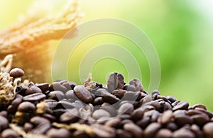 Roasted coffee beans in sack Closeup macro of coffee beans on wooden and green nature sunlight background