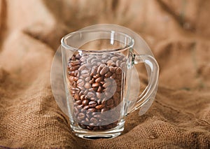 Roasted coffee beans in a transparent glass cup