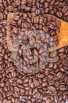 Roasted Coffee Beans V