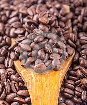 Roasted Coffee Beans VI