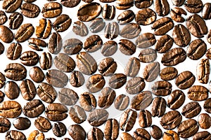 Roasted coffee beans on white milk background. Coffee beans in milk. Top view macro shot of arabica, robusta and iberica coffee se