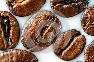 Roasted coffee beans on white milk background. Coffee beans in milk. Top view macro shot of arabica, robusta and iberica coffee se