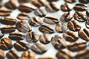 Roasted coffee beans on white milk background. Coffee beans in milk. Top view macro shot of arabica, robusta and iberica coffee se