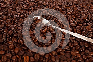 Roasted coffee beans with white spoon closeup as a background