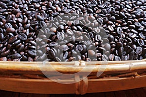 Roasted Coffee Beans in Winnower photo