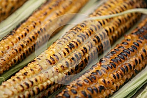 Roasted corn