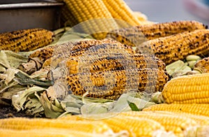 Roasted Corn on the Cob