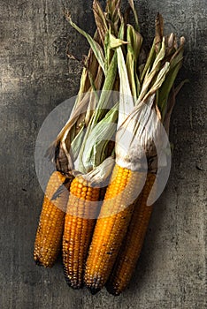 Roasted corn cobs on stone table, grilled organic food