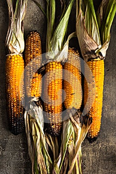 Roasted corn cobs on stone table, grilled organic food