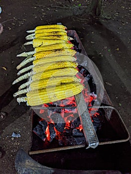 The roasted corns