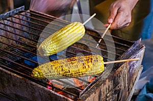 Roasted corns on the barbecue ! photo