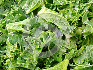 Roasted Curly Kale