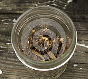 Roasted Dandelion Roots in Jar