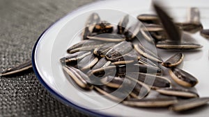 Roasted dietary black sunflower seeds with a white stripe falling on a kitchen plate