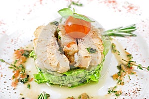 Roasted filet pikeperch closeup