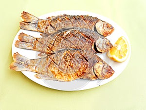 Roasted fish