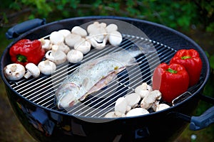Roasted fish, mushrooms, vegetables on the grill, on a picnic.