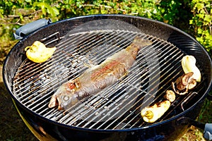 Roasted fish, mushrooms, vegetables on the grill, on a picnic.